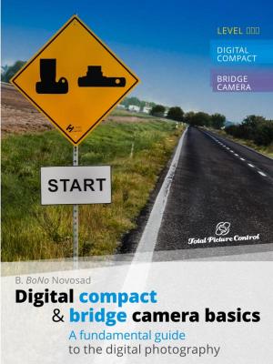Book cover of Digital Compact & Bridge Camera Basics