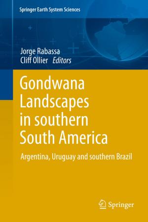Cover of the book Gondwana Landscapes in southern South America by D.G. Boadle