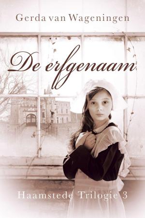 Cover of the book De erfgenaam by Pieter L. de Jong