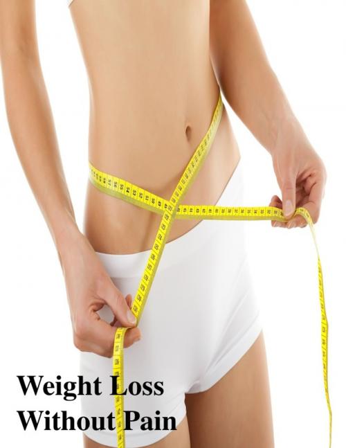 Cover of the book Weight Loss Without Pain by V.T., V.T.