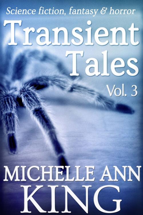 Cover of the book Transient Tales Volume 3 by Michelle Ann King, Transient Cactus Publications