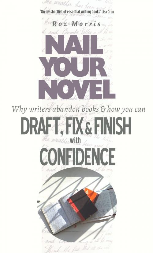 Cover of the book Nail Your Novel: Why Writers Abandon Books And How You Can Draft, Fix and Finish With Confidence by Roz Morris, Roz Morris