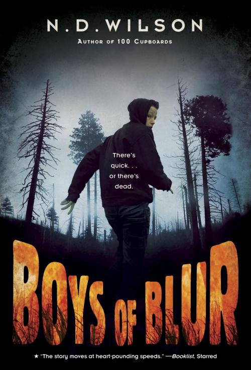 Cover of the book Boys of Blur by N. D. Wilson, Random House Children's Books