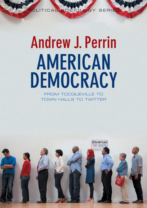 Cover of the book American Democracy by Andrew J. Perrin, Wiley