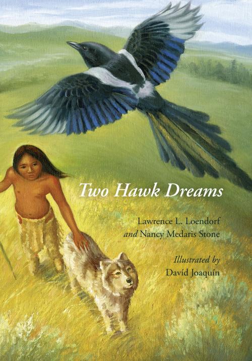 Cover of the book Two Hawk Dreams by Lawrence L. Loendorf, Nancy Medaris Stone, UNP - Bison Original