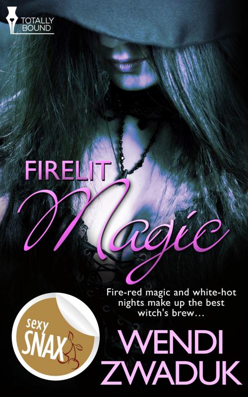 Cover of the book Firelit Magic by Wendi Zwaduk, Totally Entwined Group Ltd