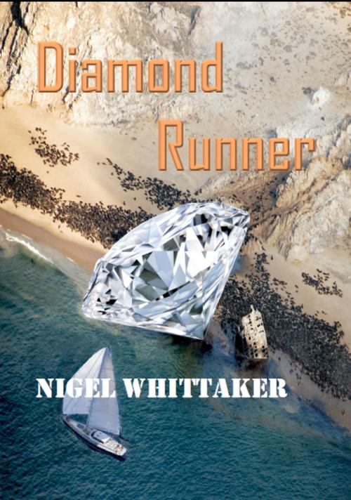 Cover of the book Diamond Runner by Nigel Whittaker, Nigel Whittaker