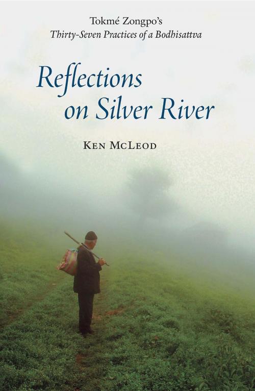 Cover of the book Reflections on Silver River by Ken I. McLeod, Unfettered Mind