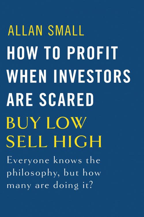 Cover of the book How to Profit When Investors Are Scared by Allan Small, Allan Small Publishing