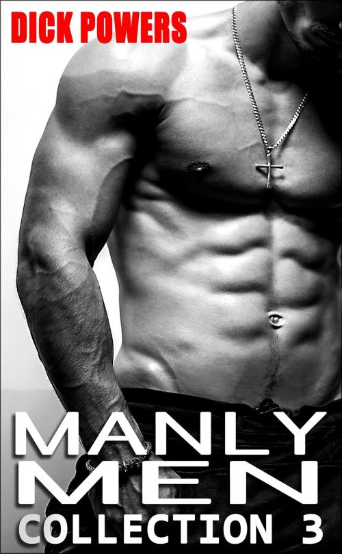 Cover of the book Manly Men Collection 3 by Dick Powers, Lunatic Ink Publishing