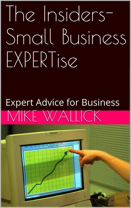 Cover of the book The Insiders- Small Business EXPERTise by Mike Wallick, Mike Wallick