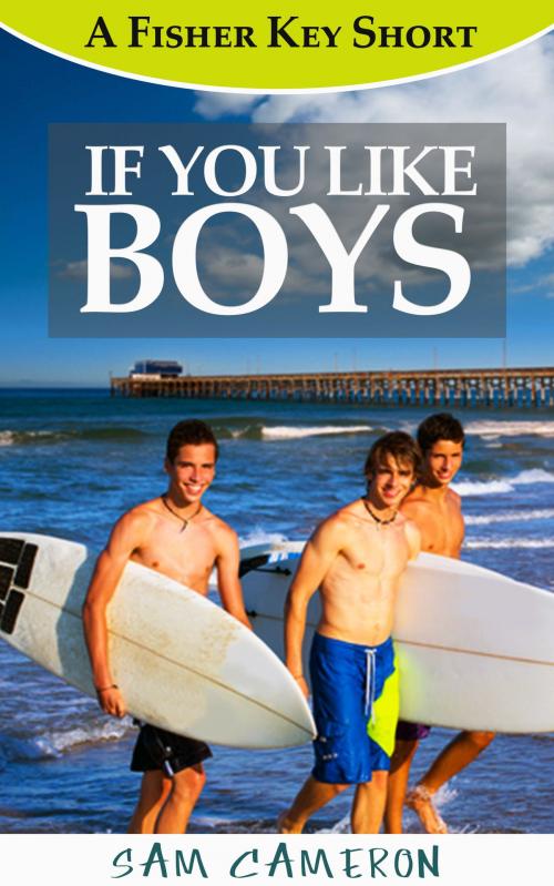 Cover of the book If You Like Boys by Sam G Cameron, Sandra McDonald