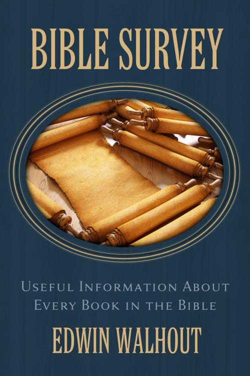 Cover of the book Bible Survey: Useful Information About Every Book in the Bible by Edwin Walhout, Edwin Walhout