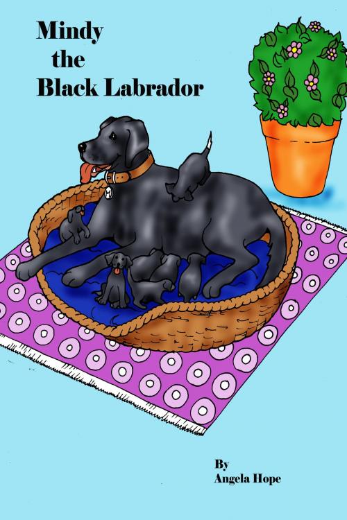 Cover of the book Mindy the Black Labrador by Angela Hope, Angela Hope