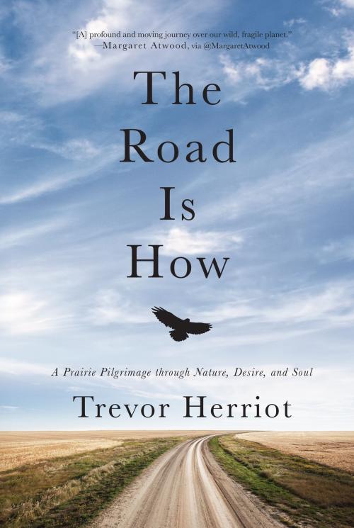 Cover of the book The Road Is How by Trevor Herriot, Harper Perennial