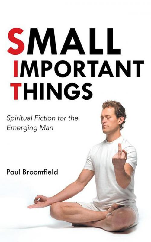 Cover of the book Small Important Things by Paul Broomfield, Balboa Press