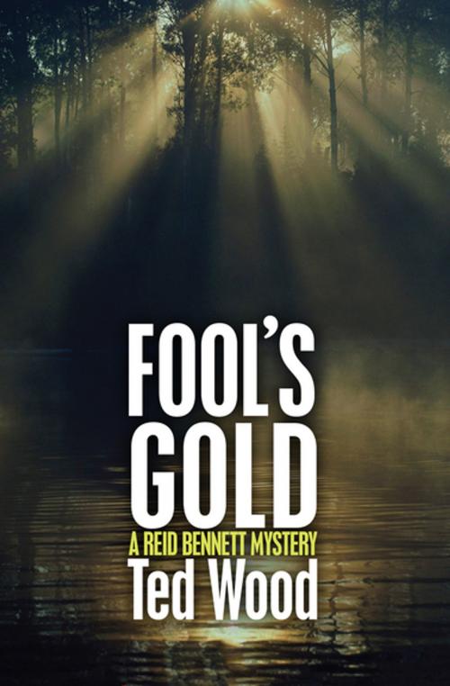 Cover of the book Fool's Gold by Ted Wood, Open Road Media