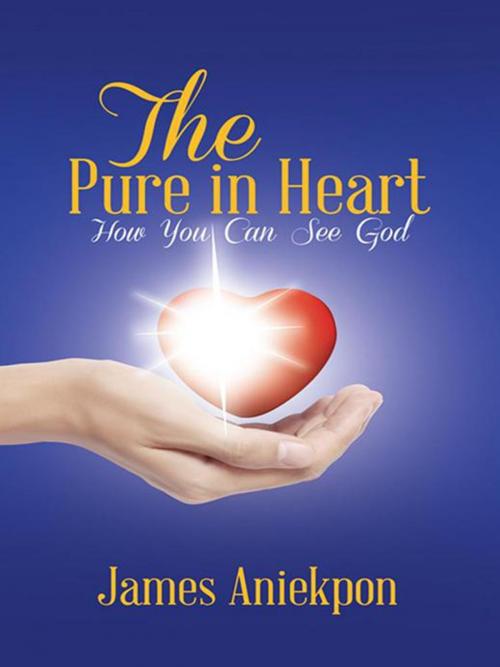 Cover of the book The Pure in Heart by James Aniekpon, AuthorHouse UK