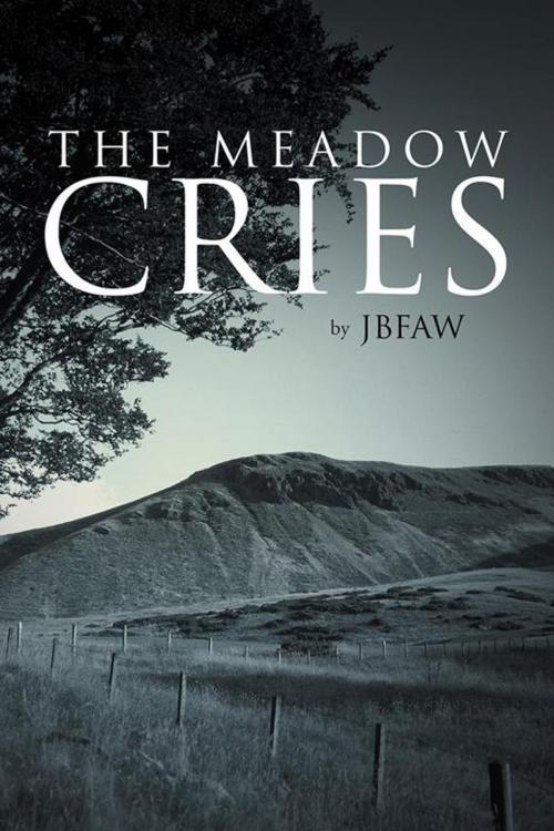Cover of the book The Meadow Cries by JB FAW, AuthorHouse