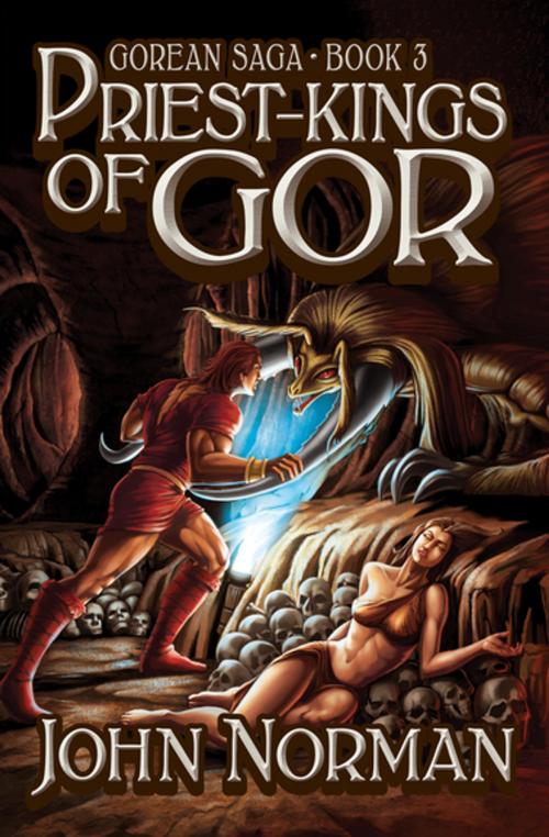 Cover of the book Priest-Kings of Gor by John Norman, Open Road Media