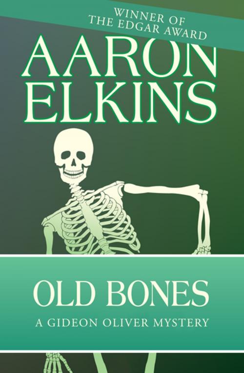 Cover of the book Old Bones by Aaron Elkins, Open Road Media