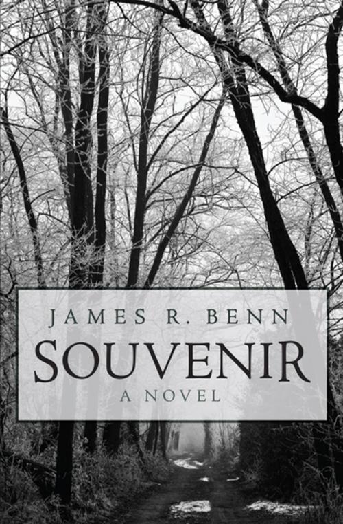 Cover of the book Souvenir by James R. Benn, Open Road Media