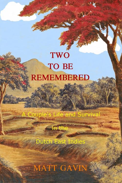 Cover of the book TWO TO BE REMEMBERED by MATT GAVIN, DESIRES OF THE HEART