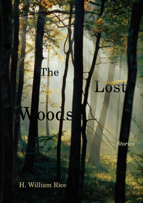 Cover of the book The Lost Woods by H. William Rice, University of South Carolina Press