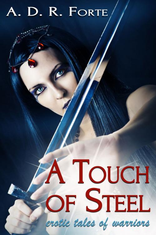 Cover of the book A Touch of Steel by A. D. R. Forte, Circlet Press