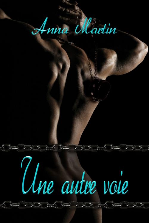 Cover of the book Une autre voie by Anna Martin, Dreamspinner Press