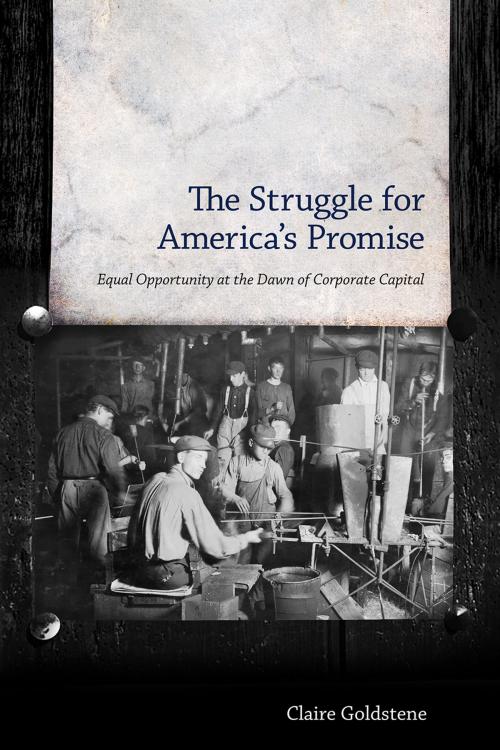 Cover of the book The Struggle for America's Promise by Claire Goldstene, University Press of Mississippi