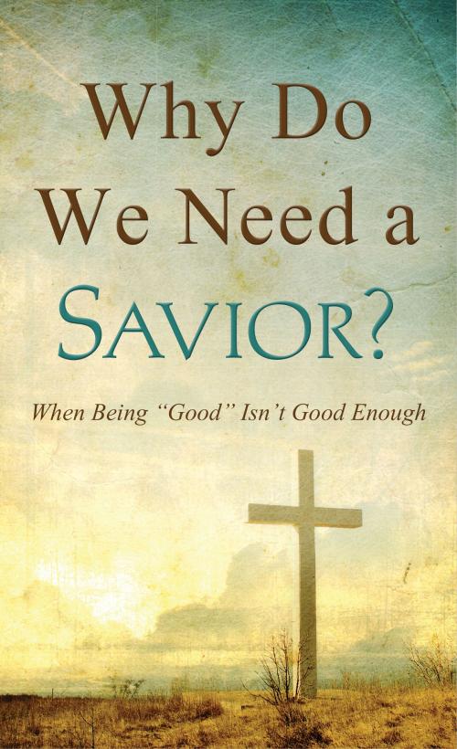 Cover of the book Why Do We Need a Savior? by Tracy M. Sumner, Barbour Publishing, Inc.
