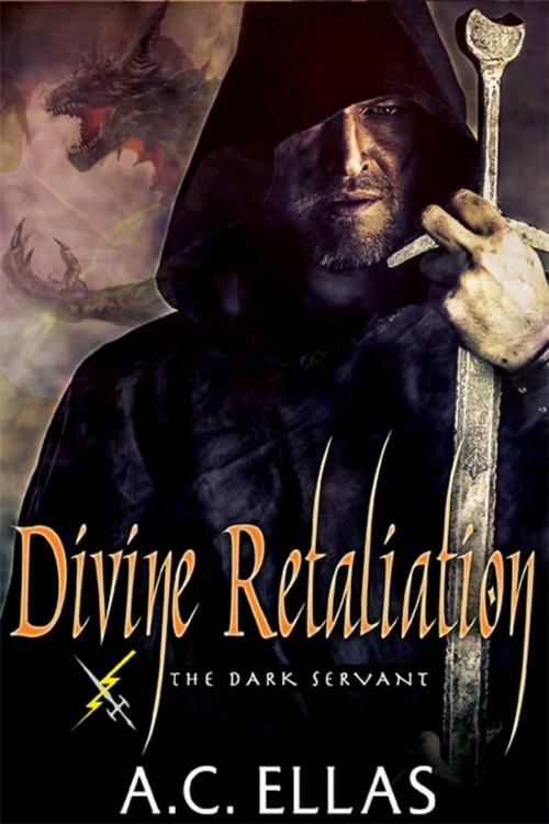 Cover of the book Divine Retaliation by A.C. Ellas, eXtasy Books Inc