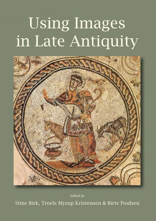 Cover of the book Using Images in Late Antiquity by Stine Birk, Troels Myrup Kristensen, Birte Poulsen, Oxbow Books