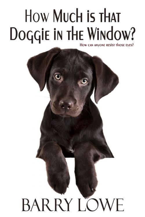 Cover of the book How Much is That Doggie In The Window? by Barry Lowe, Lydian Press
