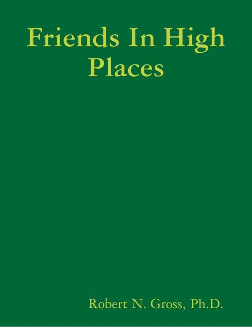 Cover of the book Friends In High Places by Robert N. Gross, Ph.D., Omni PublishXpress