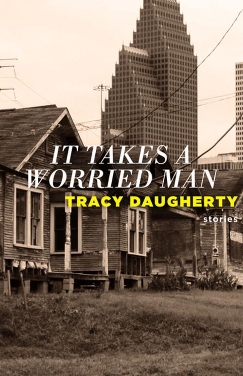 Cover of the book It Takes a Worried Man by Tracy Daugherty, Dzanc Books