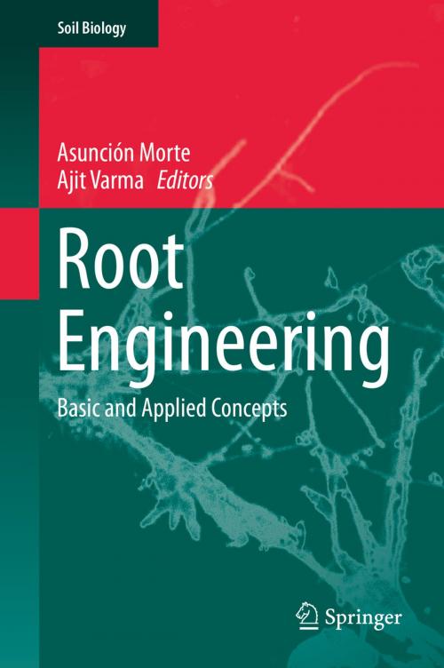 Cover of the book Root Engineering by , Springer Berlin Heidelberg
