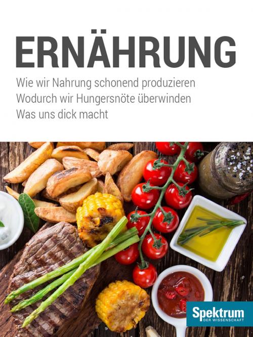 Cover of the book Ernährung by , Spektrum der Wissenschaft