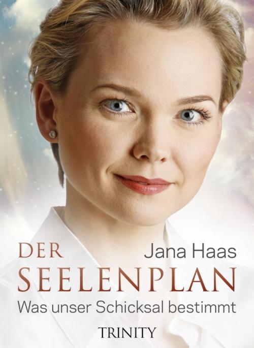 Cover of the book Der Seelenplan by Jana Haas, Trinity Verlag