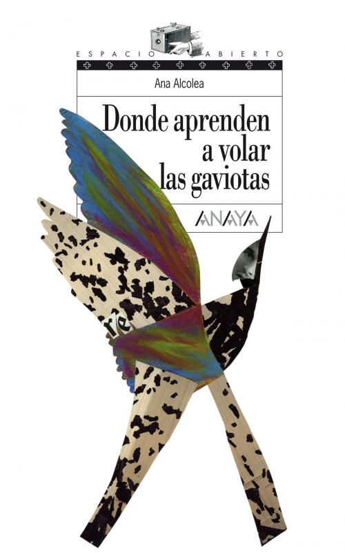 Cover of the book Donde aprenden a volar las gaviotas by Ana Alcolea, ANAYA INFANTIL Y JUVENIL