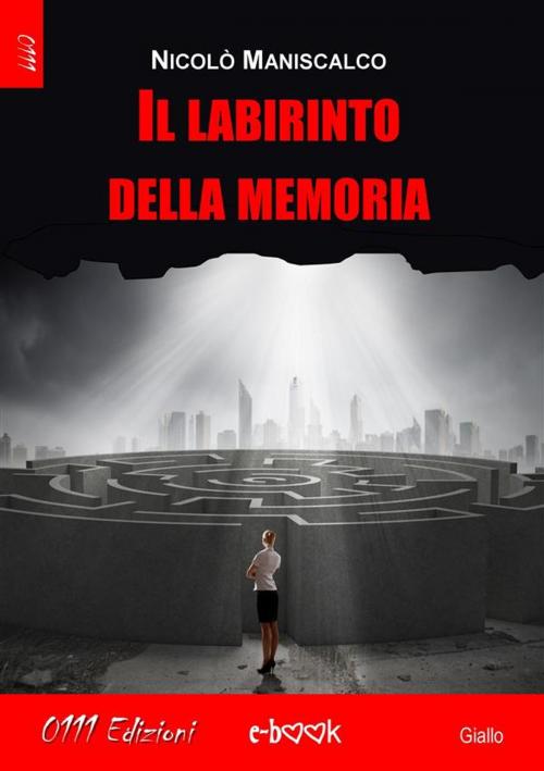 Cover of the book Ira. Oblio - Serie I Sette Peccati Capitali ep. 2 by Alessandro Cirillo, 0111 Edizioni