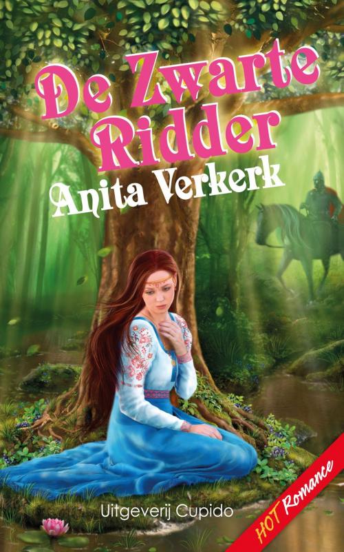 Cover of the book De zwarte ridder by Anita Verkerk, Cupido, Uitgeverij