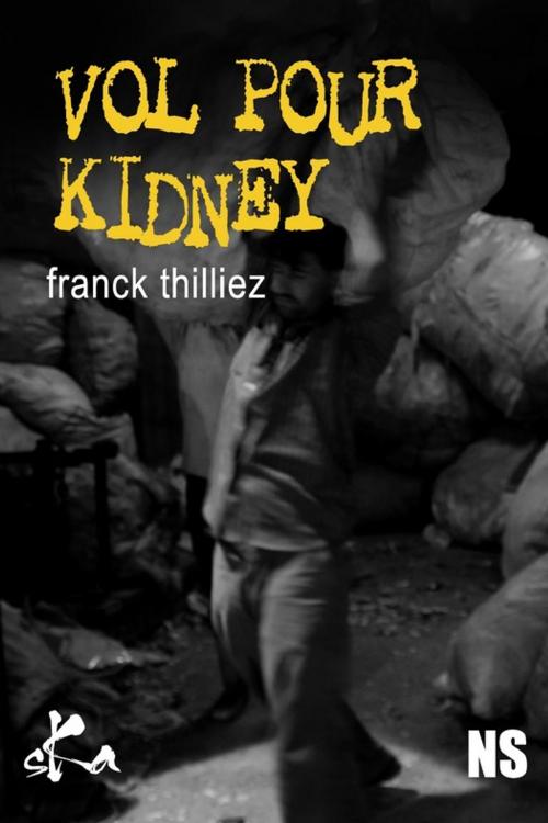Cover of the book Vol pour Kidney by Franck Thilliez, SKA