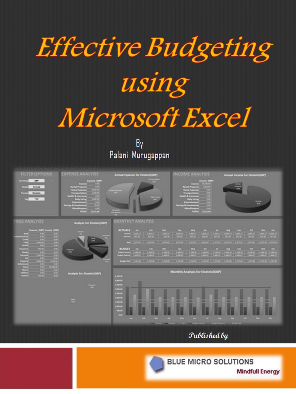 Big bigCover of Effective Budgeting using Microsoft Excel