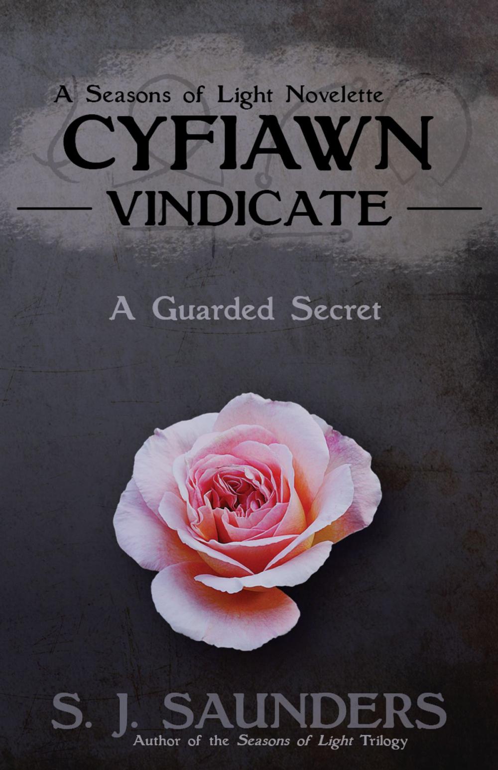 Big bigCover of Cyfiawn: Vindicate