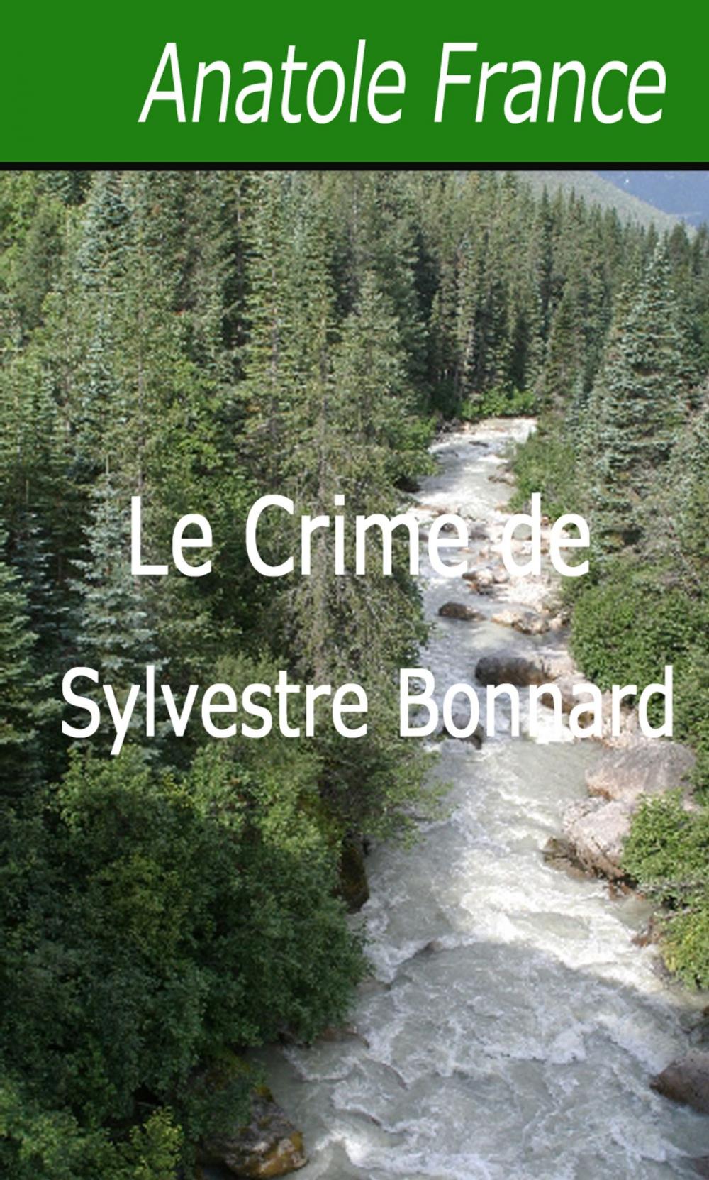 Big bigCover of Le Crime de Sylvestre Bonnard