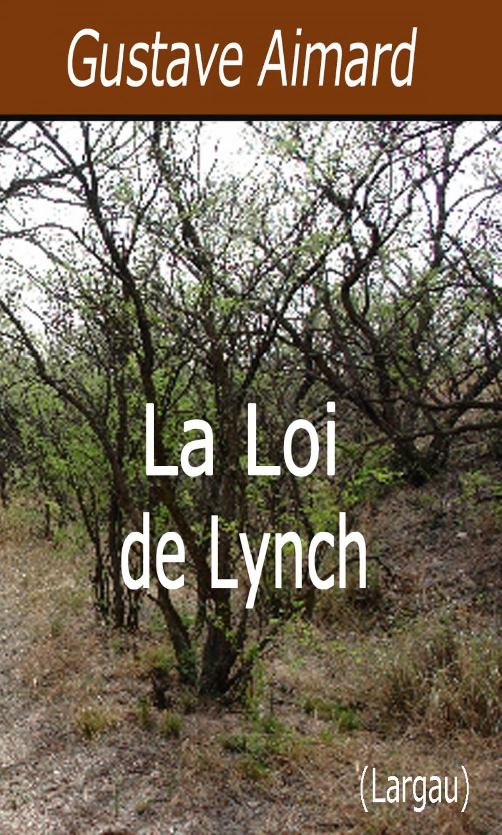 Big bigCover of La Loi de Lynch