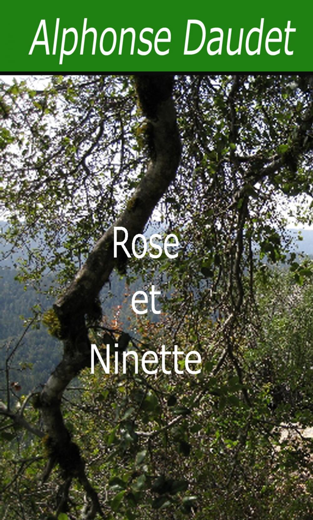 Big bigCover of Rose et Ninette