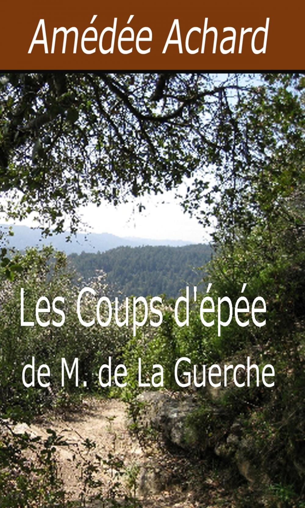 Big bigCover of Les Coups d'épée de M. de La Guerche